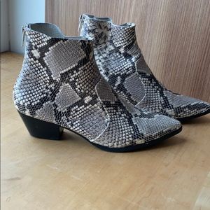 Snake skin, Steve Madden booties